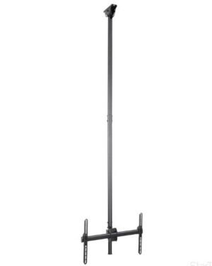 Startech FPCEILPTBLP