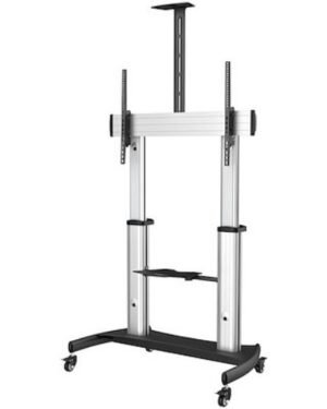 Startech STNDMTV100