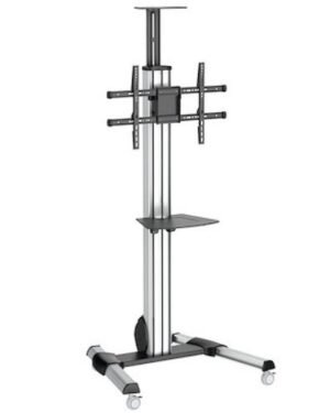 Startech STNDMTV70