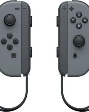 Nintendo Switch Joy-Con Set (L+R) { Best Price in India } – Distributor/Dealer